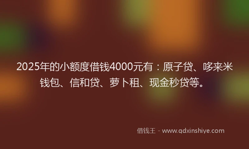 2025年的小额度借钱4000元有：原子贷、哆来米钱包、信和贷、萝卜租、现金秒贷等。