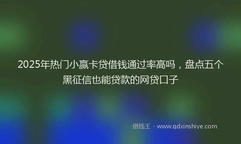 2025年热门小赢卡贷借钱通过率高吗，盘点五个黑征信也能贷款的网贷口子