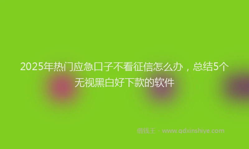 2025年热门应急口子不看征信怎么办，总结5个无视黑白好下款的软件
