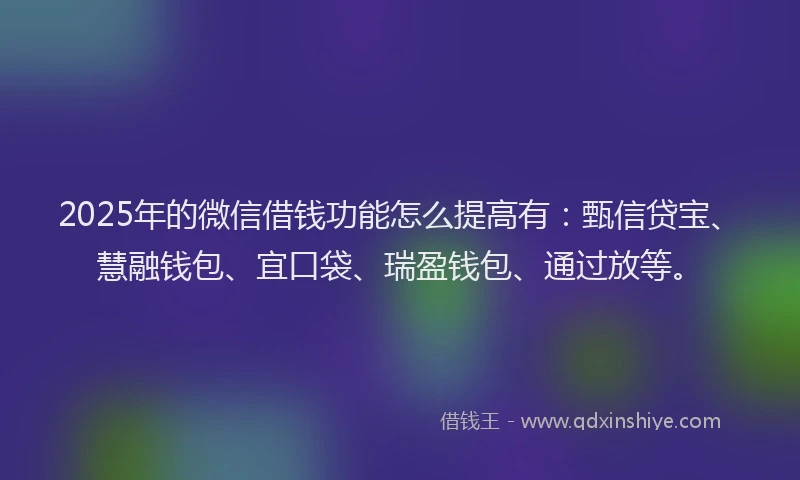 2025年的微信借钱功能怎么提高有：甄信贷宝、慧融钱包、宜口袋、瑞盈钱包、通过放等。