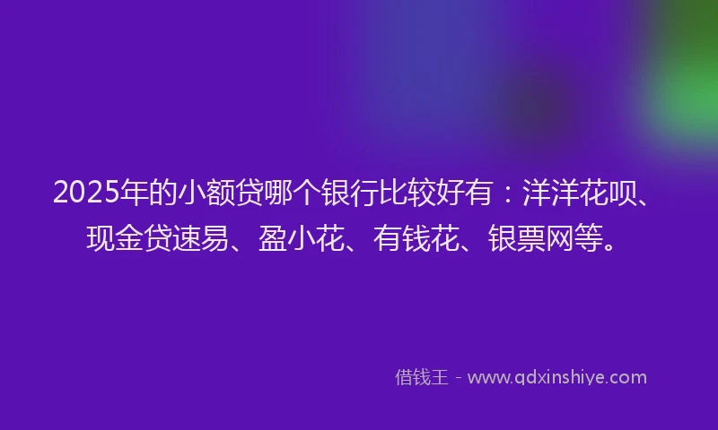 2025年的小额贷哪个银行比较好有：洋洋花呗、现金贷速易、盈小花、有钱花、银票网等。