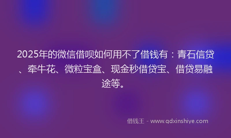 2025年的微信借呗如何用不了借钱有：青石信贷、牵牛花、微粒宝盒、现金秒借贷宝、借贷易融途等。