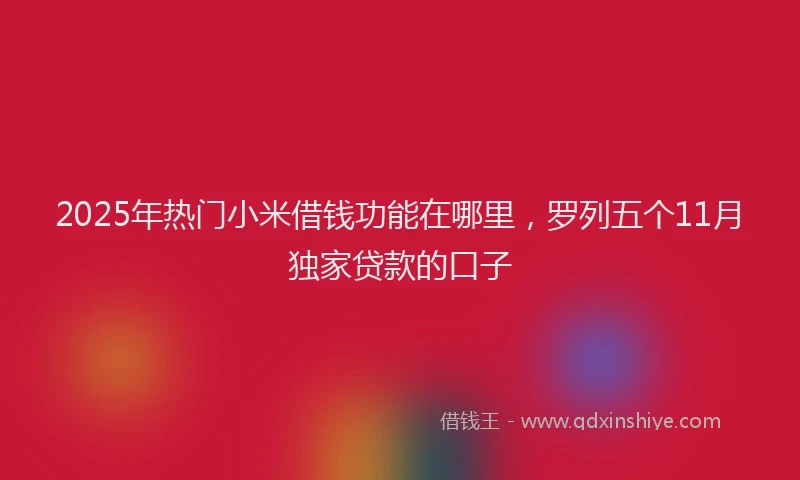 2025年热门小米借钱功能在哪里，罗列五个11月独家贷款的口子