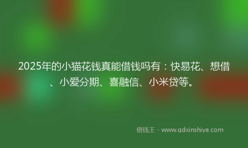 2025年的小猫花钱真能借钱吗有：快易花、想借、小爱分期、喜融信、小米贷等。