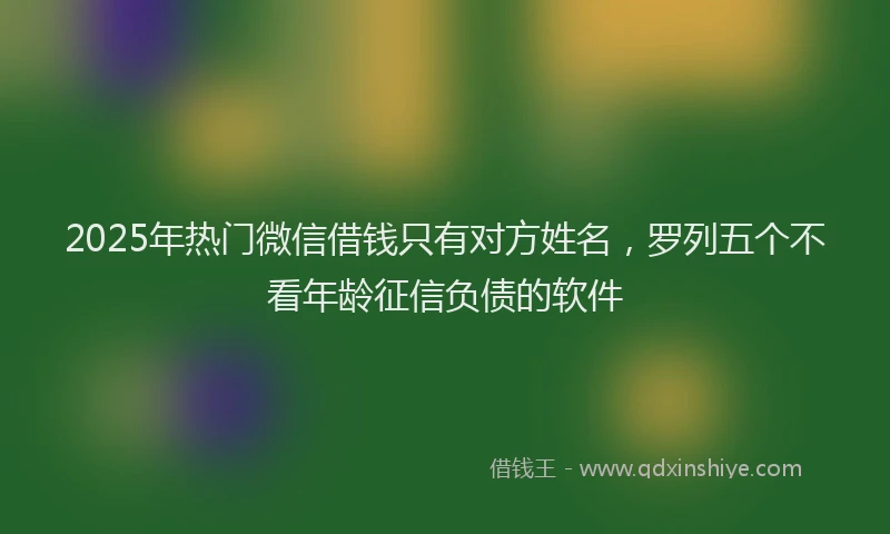 2025年热门微信借钱只有对方姓名，罗列五个不看年龄征信负债的软件