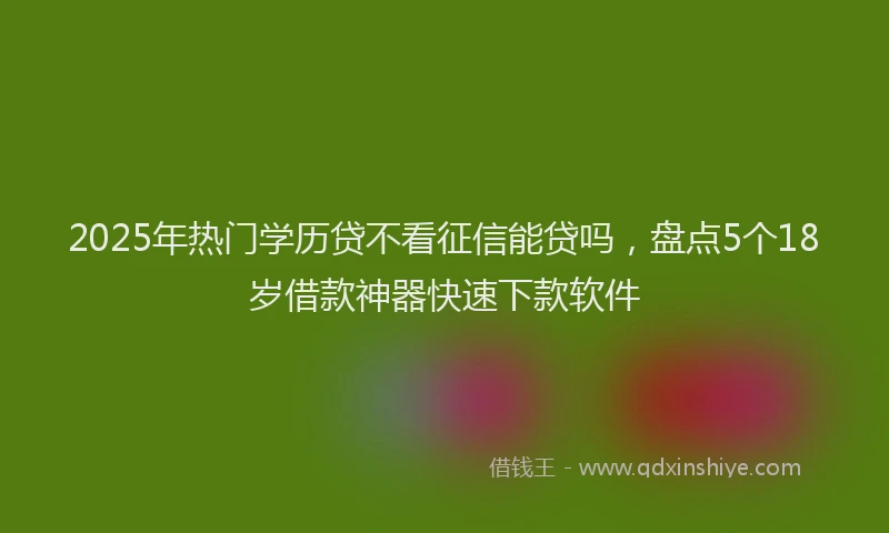 2025年热门学历贷不看征信能贷吗，盘点5个18岁借款神器快速下款软件
