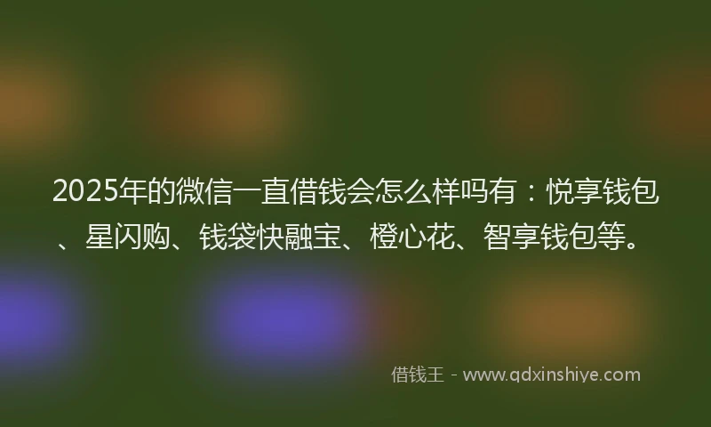 2025年的微信一直借钱会怎么样吗有：悦享钱包、星闪购、钱袋快融宝、橙心花、智享钱包等。