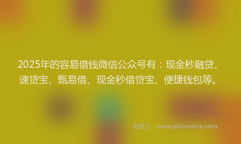 2025年的容易借钱微信公众号有：现金秒融贷、速贷宝、甄易借、现金秒借贷宝、便捷钱包等。