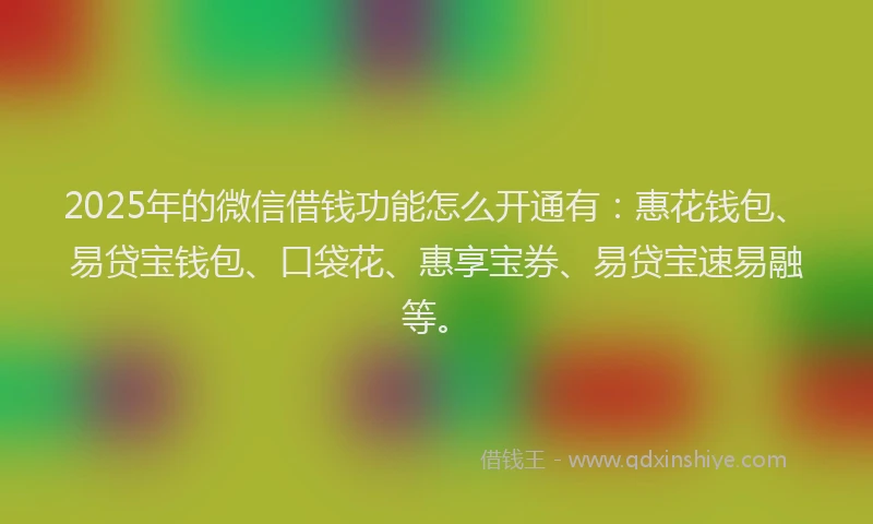 2025年的微信借钱功能怎么开通有：惠花钱包、易贷宝钱包、口袋花、惠享宝券、易贷宝速易融等。