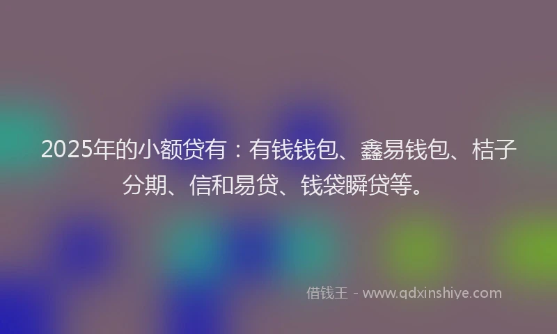 2025年的小额贷有：有钱钱包、鑫易钱包、桔子分期、信和易贷、钱袋瞬贷等。