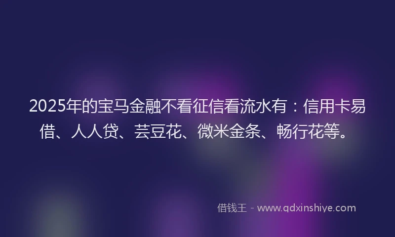 2025年的宝马金融不看征信看流水有：信用卡易借、人人贷、芸豆花、微米金条、畅行花等。