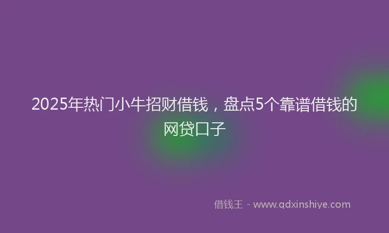 2025年热门小牛招财借钱，盘点5个靠谱借钱的网贷口子