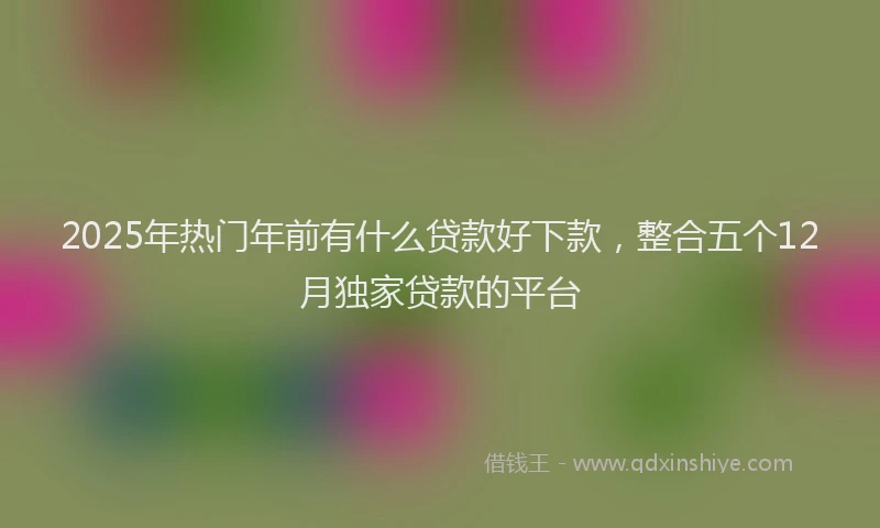 2025年热门年前有什么贷款好下款，整合五个12月独家贷款的平台