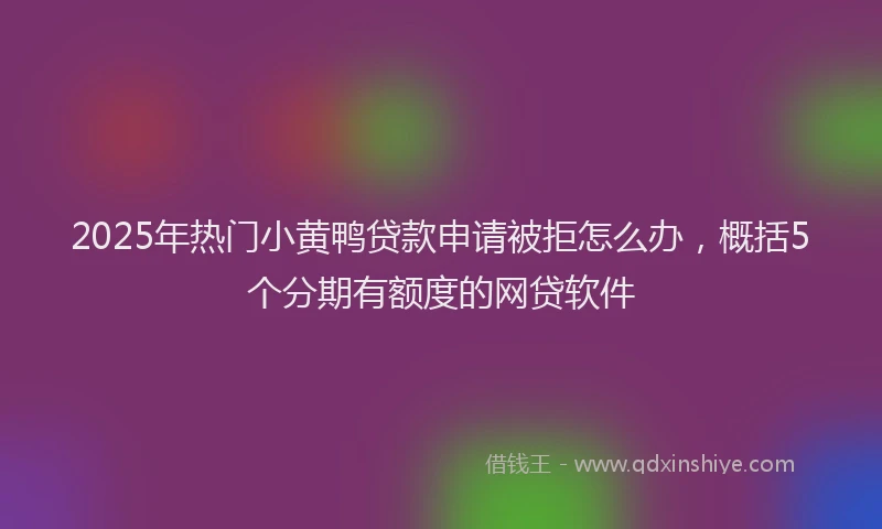2025年热门小黄鸭贷款申请被拒怎么办，概括5个分期有额度的网贷软件