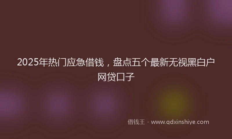 2025年热门应急借钱，盘点五个最新无视黑白户网贷口子