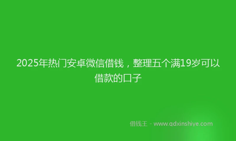 2025年热门安卓微信借钱，整理五个满19岁可以借款的口子