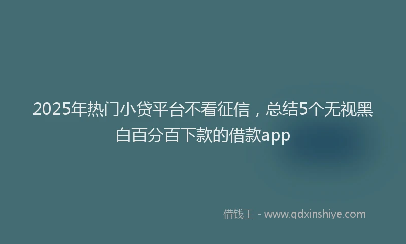 2025年热门小贷平台不看征信，总结5个无视黑白百分百下款的借款app