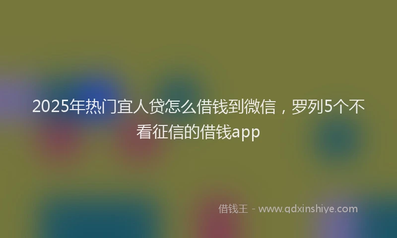 2025年热门宜人贷怎么借钱到微信，罗列5个不看征信的借钱app