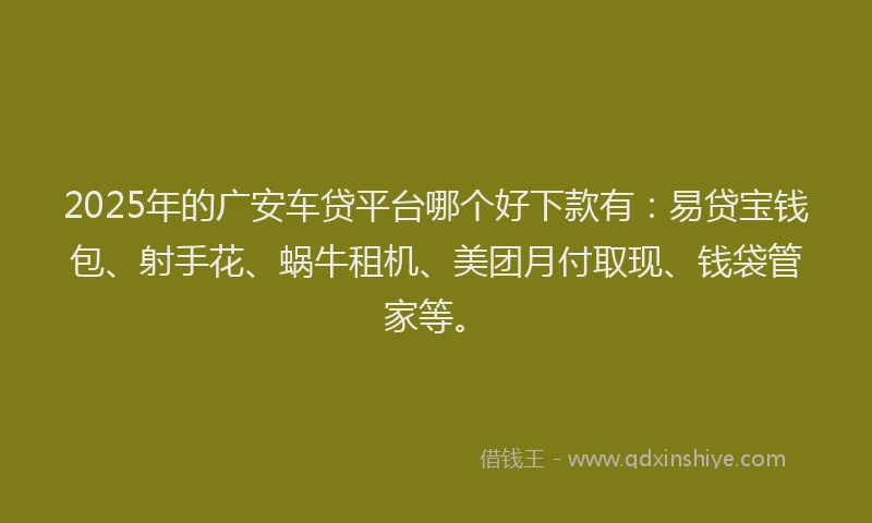 2025年的广安车贷平台哪个好下款有：易贷宝钱包、射手花、蜗牛租机、美团月付取现、钱袋管家等。