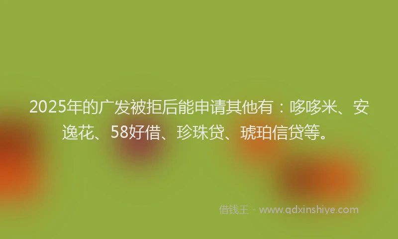 2025年的广发被拒后能申请其他有：哆哆米、安逸花、58好借、珍珠贷、琥珀信贷等。