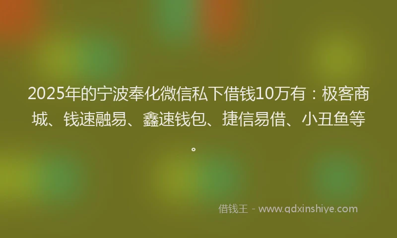 2025年的宁波奉化微信私下借钱10万有：极客商城、钱速融易、鑫速钱包、捷信易借、小丑鱼等。