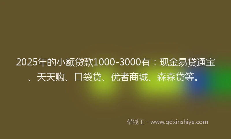 2025年的小额贷款1000-3000有：现金易贷通宝、天天购、口袋贷、优者商城、森森贷等。