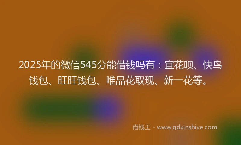 2025年的微信545分能借钱吗有：宜花呗、快鸟钱包、旺旺钱包、唯品花取现、新一花等。