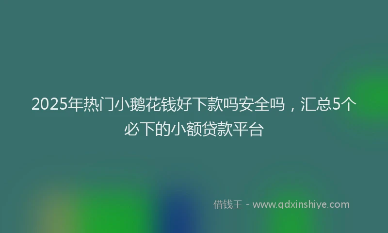 2025年热门小鹅花钱好下款吗安全吗，汇总5个必下的小额贷款平台