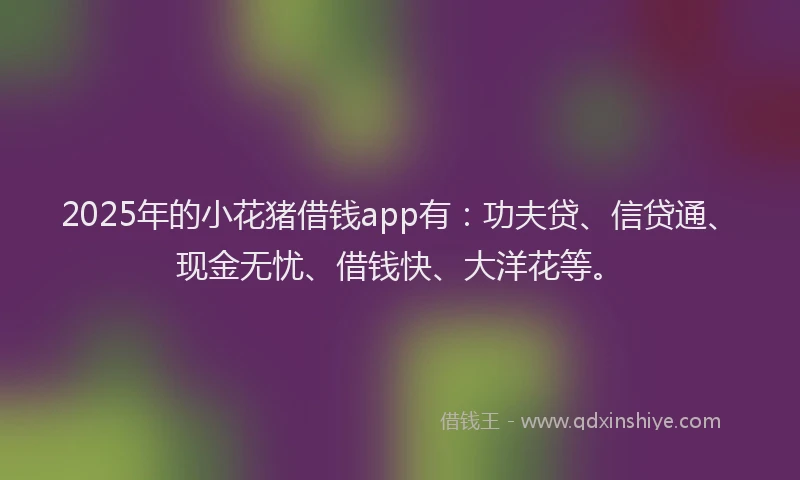 2025年的小花猪借钱app有：功夫贷、信贷通、现金无忧、借钱快、大洋花等。