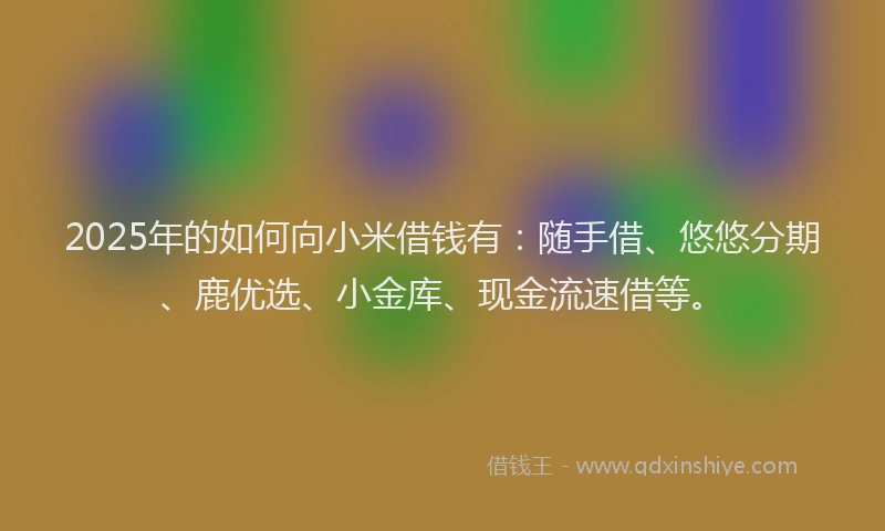 2025年的如何向小米借钱有：随手借、悠悠分期、鹿优选、小金库、现金流速借等。