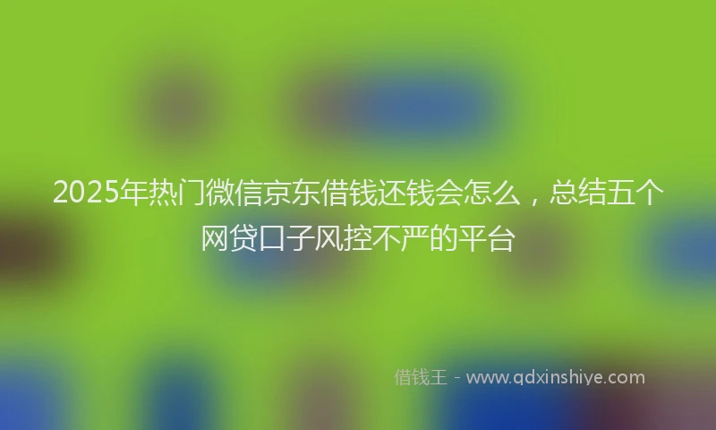 2025年热门微信京东借钱还钱会怎么，总结五个网贷口子风控不严的平台