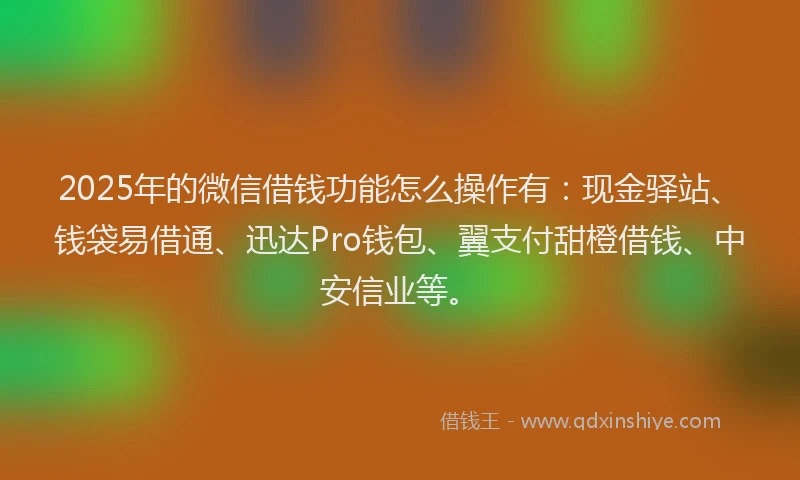 2025年的微信借钱功能怎么操作有：现金驿站、钱袋易借通、迅达Pro钱包、翼支付甜橙借钱、中安信业等。
