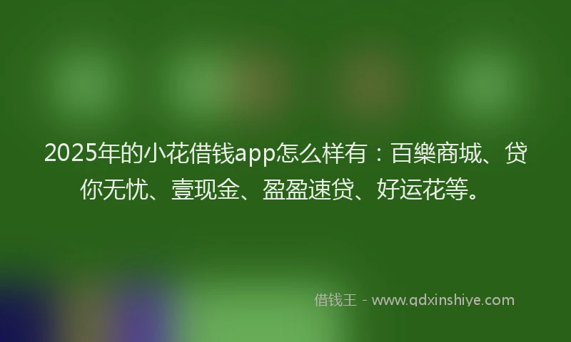 2025年的小花借钱app怎么样有：百樂商城、贷你无忧、壹现金、盈盈速贷、好运花等。