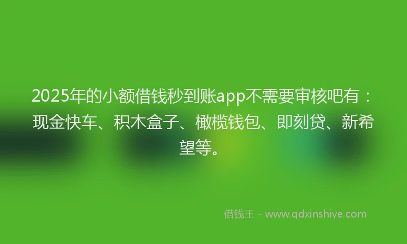 2025年的小额借钱秒到账app不需要审核吧有：现金快车、积木盒子、橄榄钱包、即刻贷、新希望等。