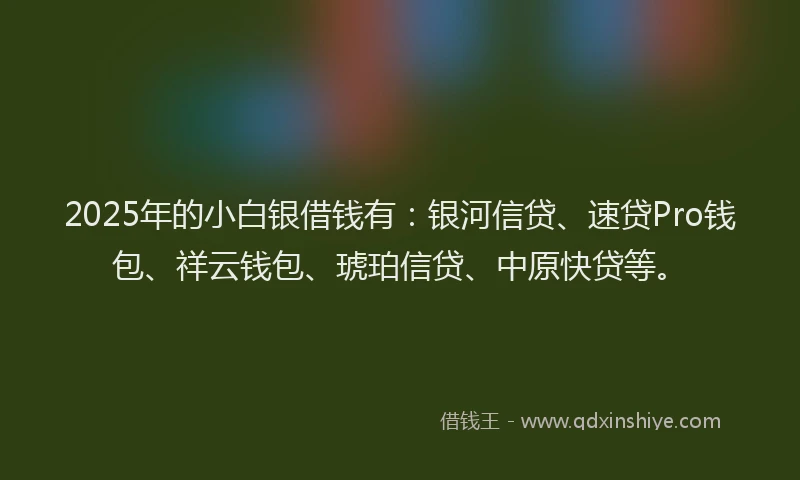 2025年的小白银借钱有：银河信贷、速贷Pro钱包、祥云钱包、琥珀信贷、中原快贷等。