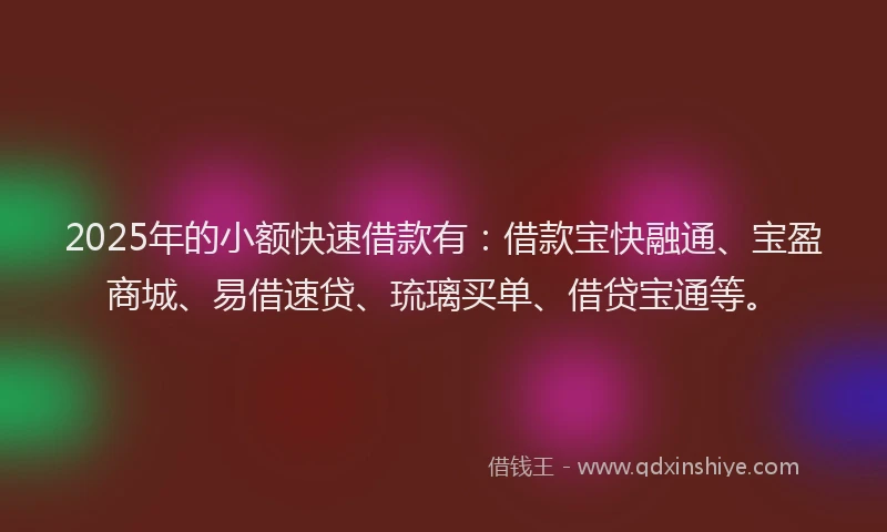 2025年的小额快速借款有：借款宝快融通、宝盈商城、易借速贷、琉璃买单、借贷宝通等。