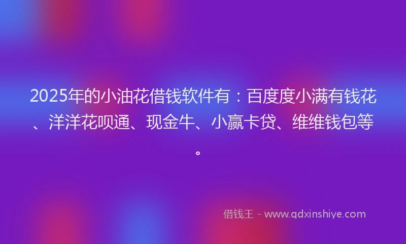 2025年的小油花借钱软件有：百度度小满有钱花、洋洋花呗通、现金牛、小赢卡贷、维维钱包等。