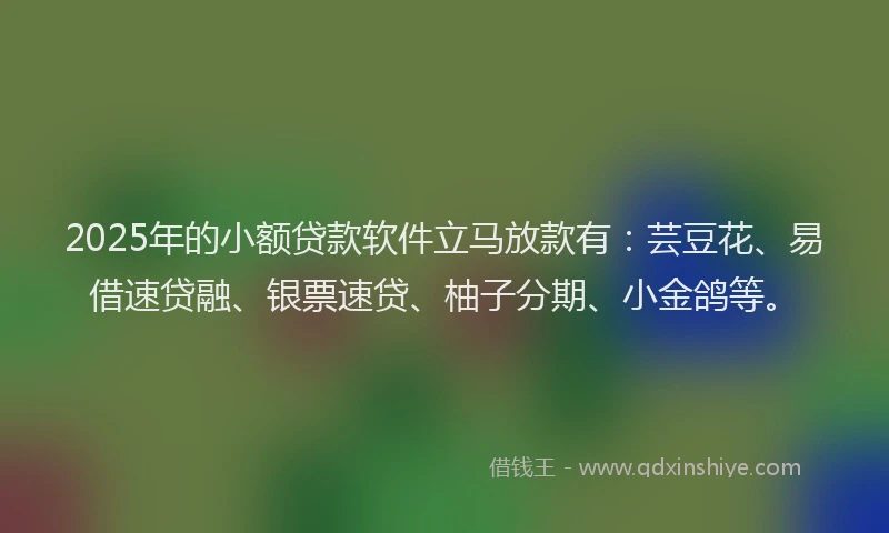 2025年的小额贷款软件立马放款有：芸豆花、易借速贷融、银票速贷、柚子分期、小金鸽等。