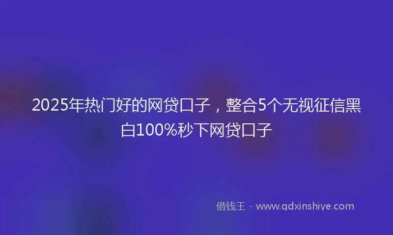 2025年热门好的网贷口子，整合5个无视征信黑白100%秒下网贷口子