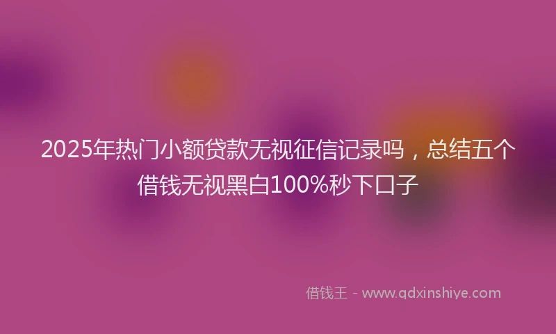 2025年热门小额贷款无视征信记录吗，总结五个借钱无视黑白100%秒下口子