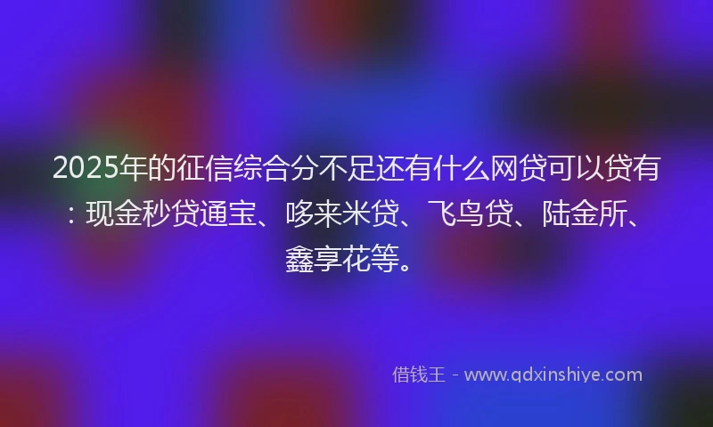 2025年的征信综合分不足还有什么网贷可以贷有：现金秒贷通宝、哆来米贷、飞鸟贷、陆金所、鑫享花等。
