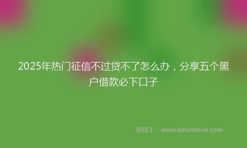 2025年热门征信不过贷不了怎么办，分享五个黑户借款必下口子