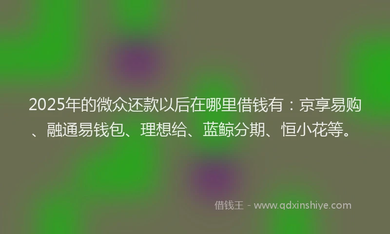 2025年的微众还款以后在哪里借钱有：京享易购、融通易钱包、理想给、蓝鲸分期、恒小花等。