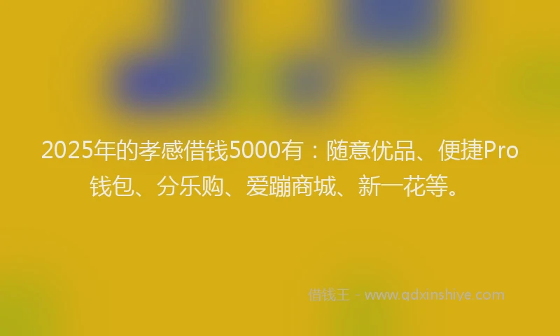 2025年的孝感借钱5000有：随意优品、便捷Pro钱包、分乐购、爱蹦商城、新一花等。