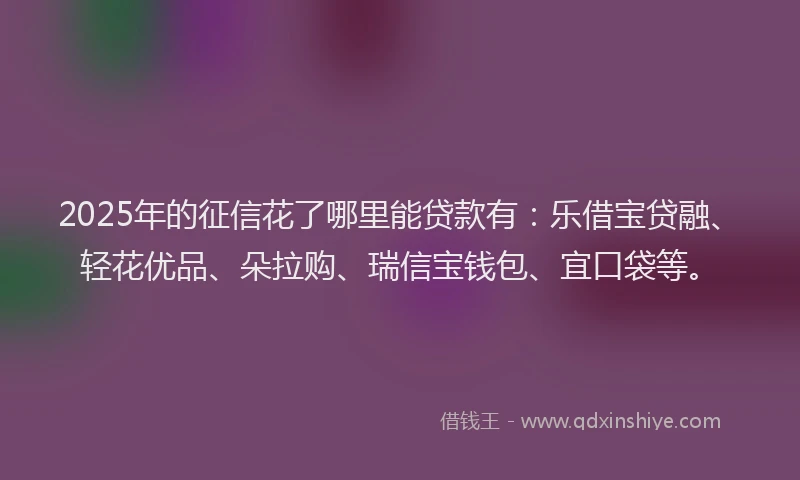 2025年的征信花了哪里能贷款有：乐借宝贷融、轻花优品、朵拉购、瑞信宝钱包、宜口袋等。