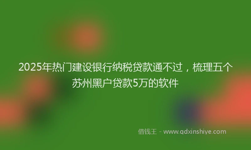 2025年热门建设银行纳税贷款通不过，梳理五个苏州黑户贷款5万的软件