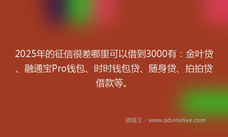 2025年的征信很差哪里可以借到3000有：金叶贷、融通宝Pro钱包、时时钱包贷、随身贷、拍拍贷借款等。