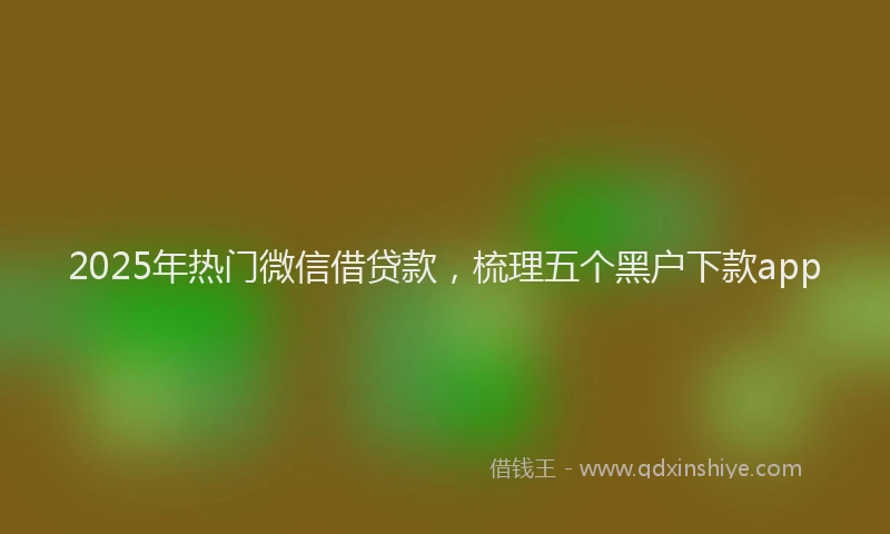 2025年热门微信借贷款，梳理五个黑户下款app