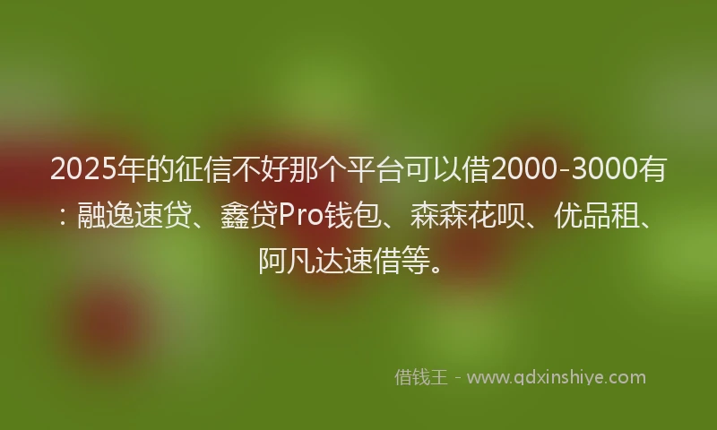2025年的征信不好那个平台可以借2000-3000有：融逸速贷、鑫贷Pro钱包、森森花呗、优品租、阿凡达速借等。