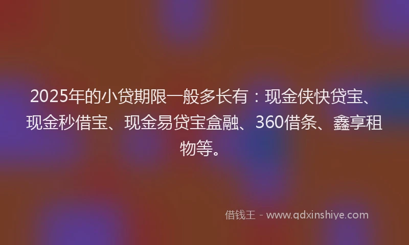 2025年的小贷期限一般多长有：现金侠快贷宝、现金秒借宝、现金易贷宝盒融、360借条、鑫享租物等。